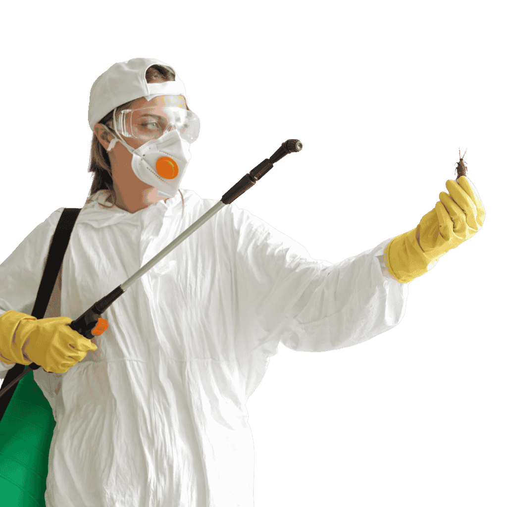 Pest Control Pros