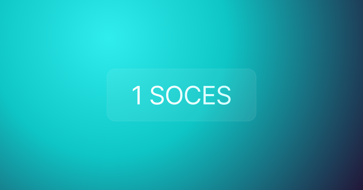 1 SOCES