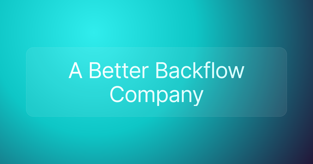 A Better Backflow Company