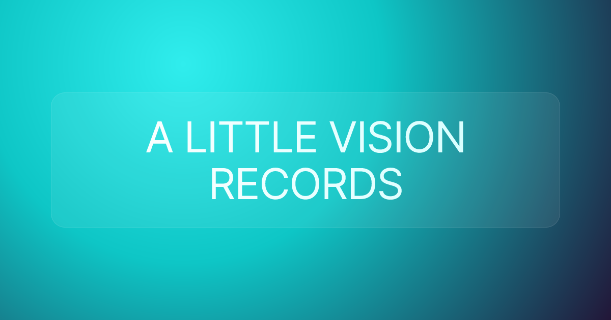 A LITTLE VISION RECORDS