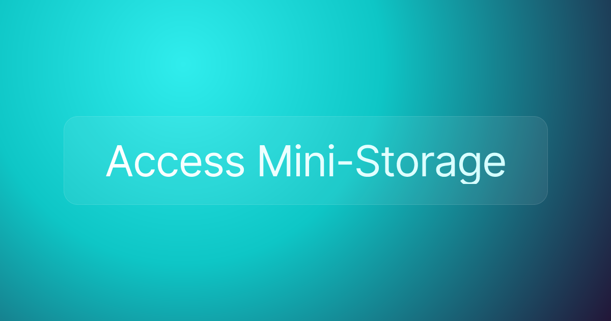 Access Mini-Storage