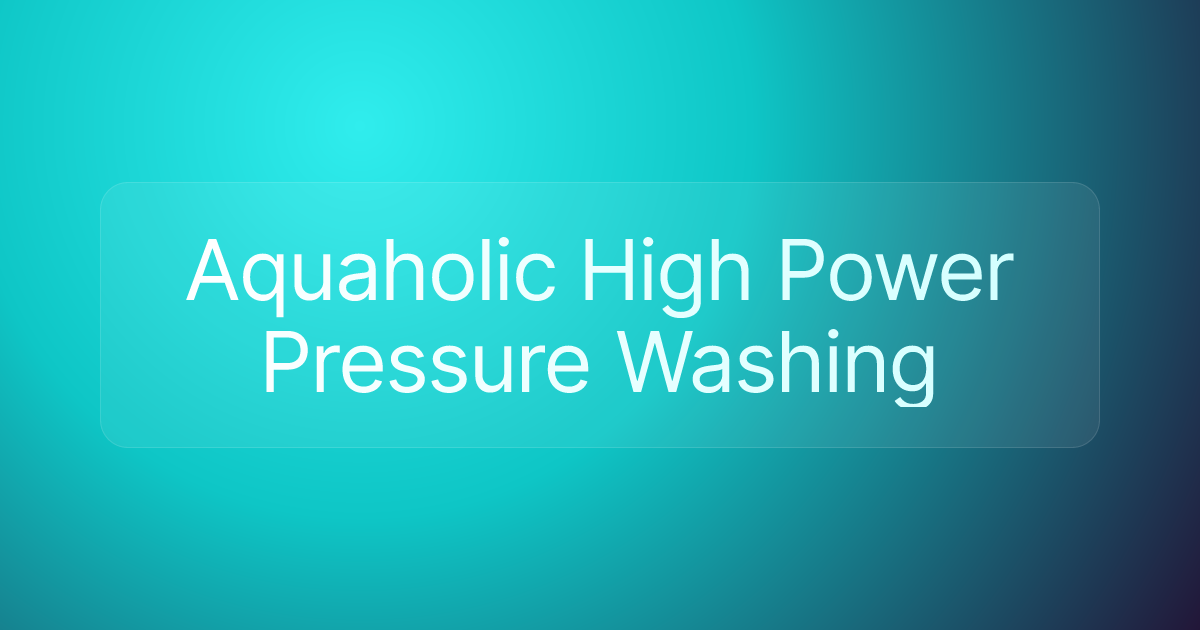 Aquaholic High Power Pressure Washing
