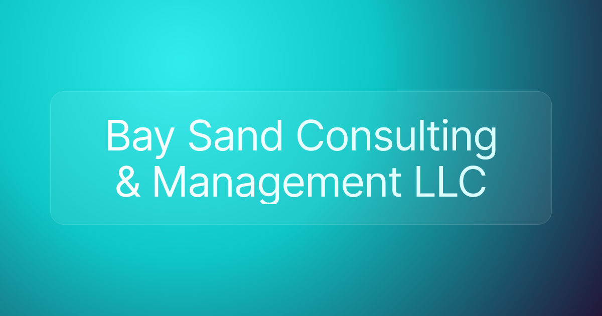 Bay Sand Consulting & Management LLC
