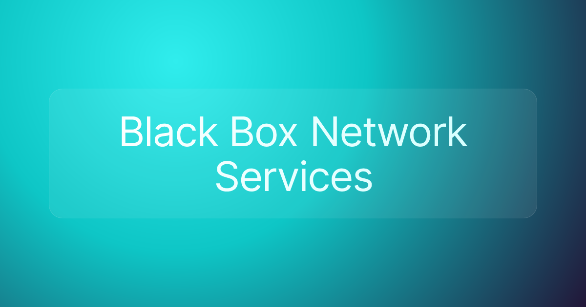 Black Box Network Services