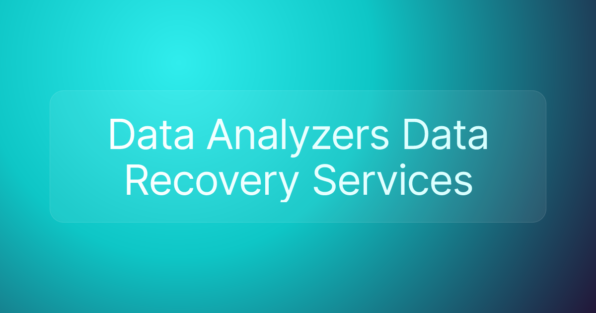 Data Analyzers Data Recovery Services