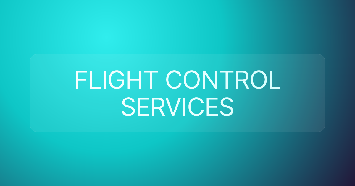 FLIGHT CONTROL SERVICES