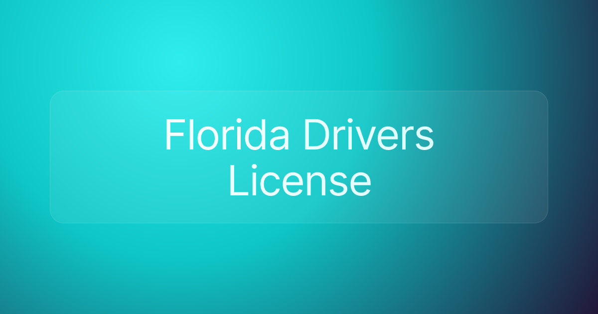 Florida Drivers License