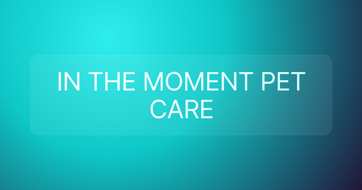IN THE MOMENT PET CARE