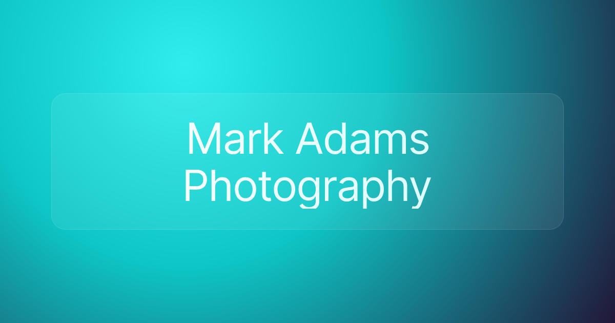 Mark Adams Photography