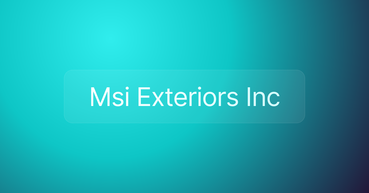 Msi Exteriors Inc