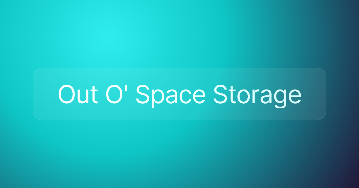 Out O' Space Storage