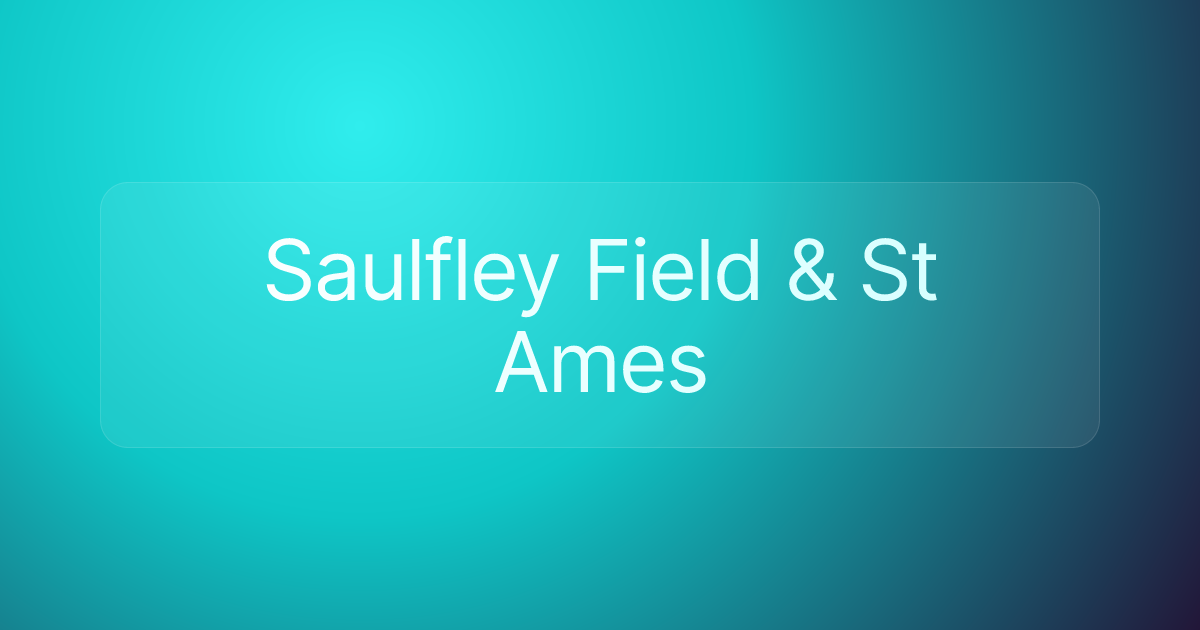 Saulfley Field & St Ames