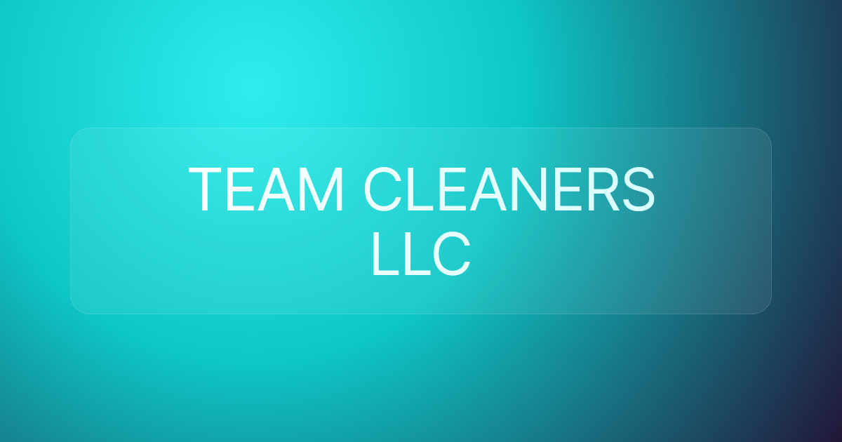 TEAM CLEANERS LLC