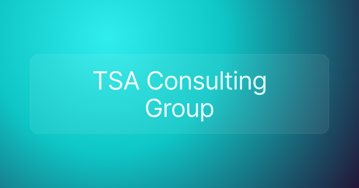 TSA Consulting Group