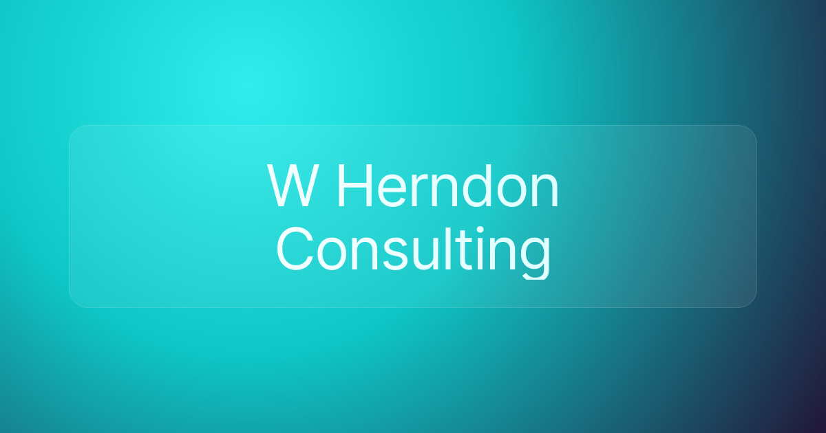 W Herndon Consulting