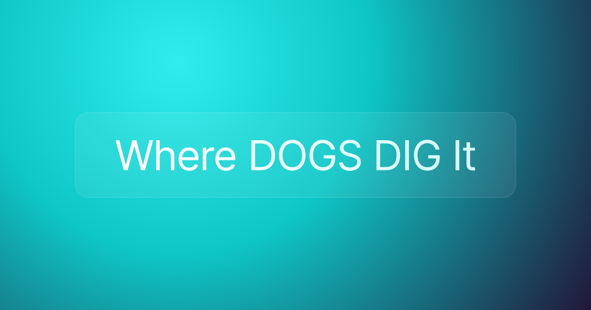 Where DOGS DIG It